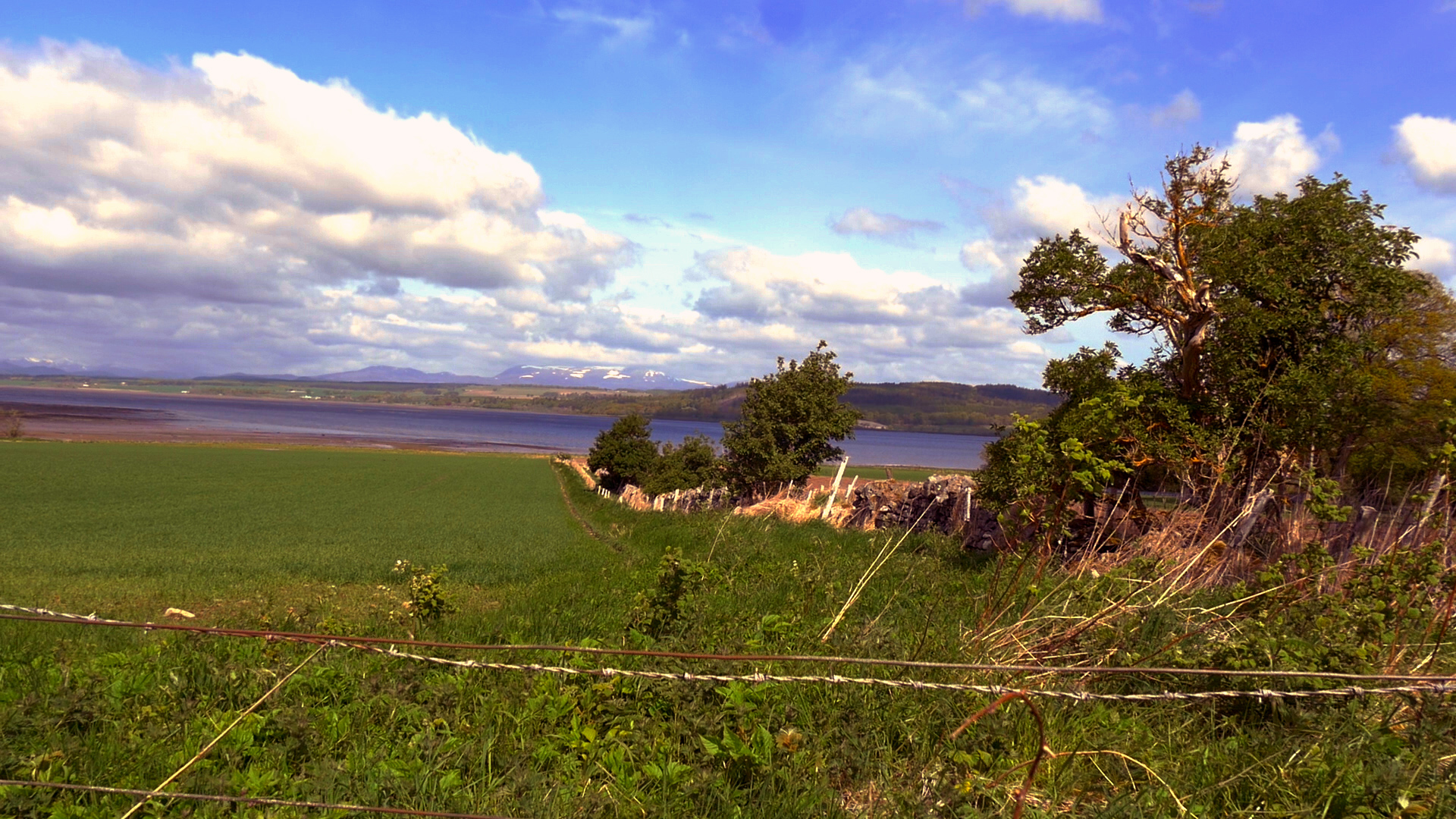Beauly Firth from entrance